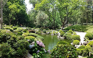 Un parque urbano al noreste de la ciudad de Guadalajara. Formando uno de los pulmones de Guadalajara.
